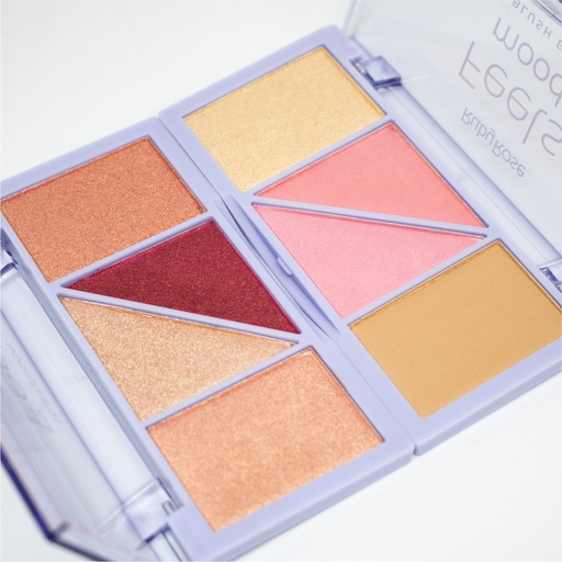 Feels Mood Blush Illuminator Palette