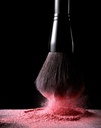 Mood Blush