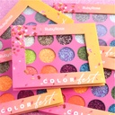 Colorfest Palette